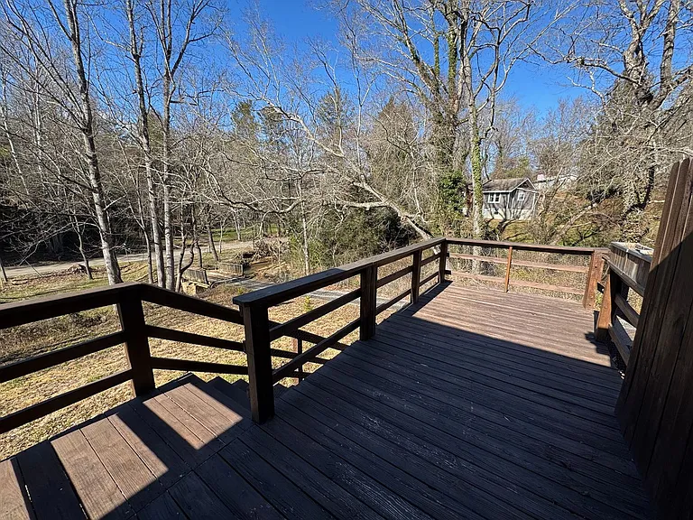 117 Lower Grassy Branch Rd — Photo 16