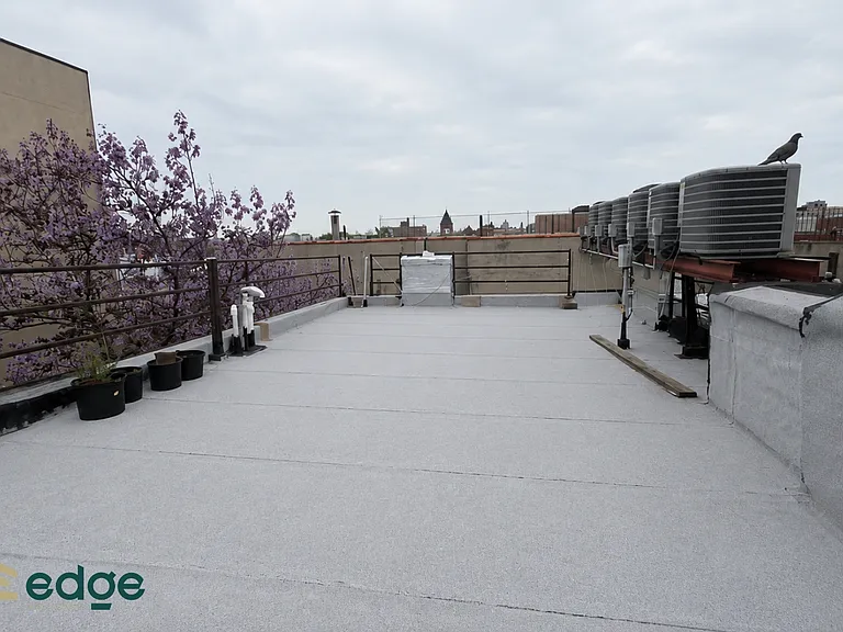 35 Rogers Ave #4B — Photo 8