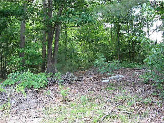 1st image of 109 Peafowl Dr