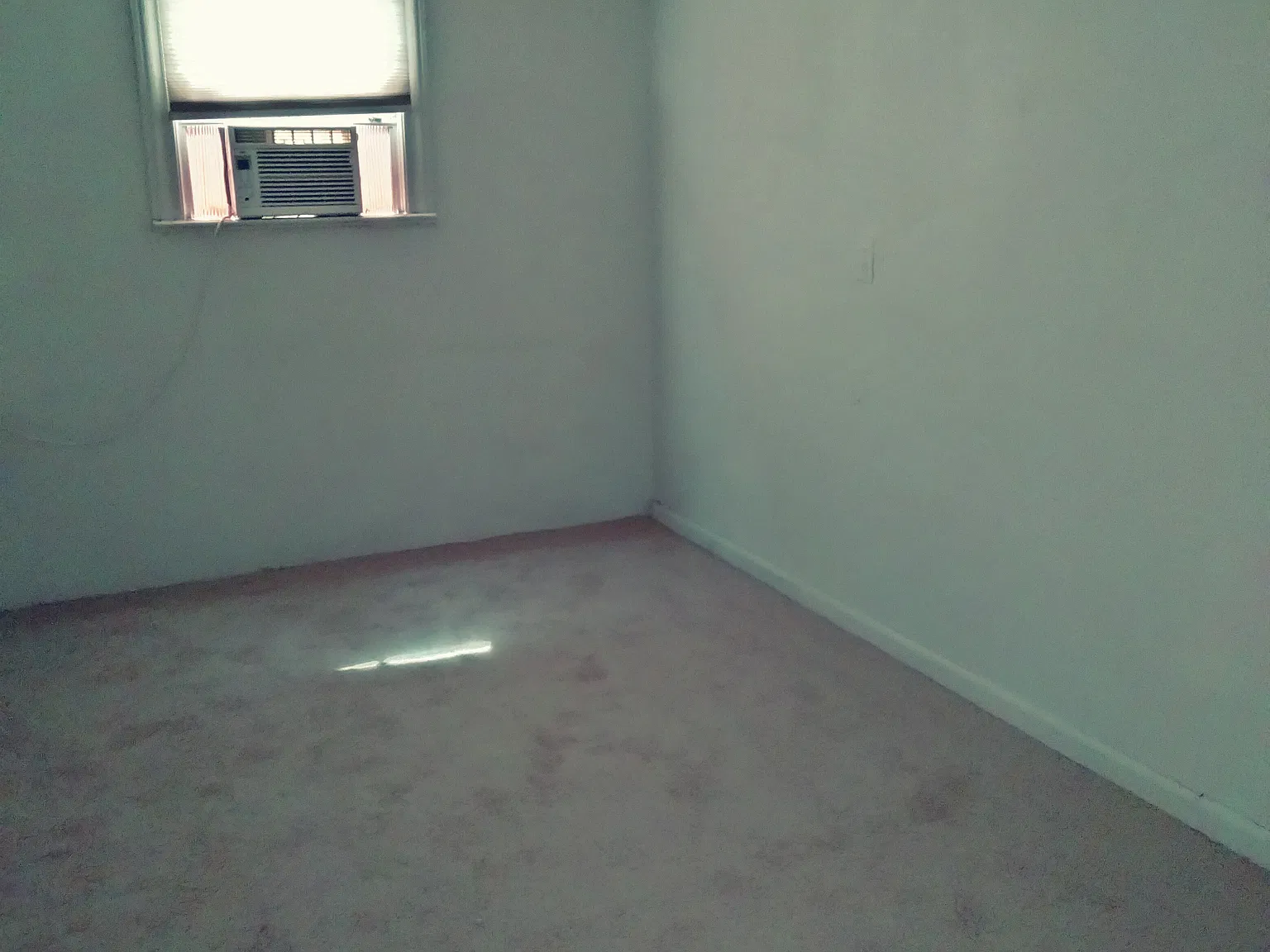 1 bed, $600 — Photo 4