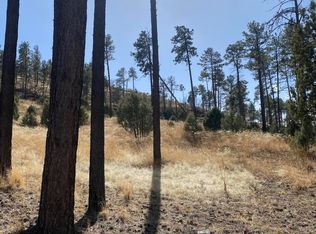 81 Stable Ct, Alto, NM 88312