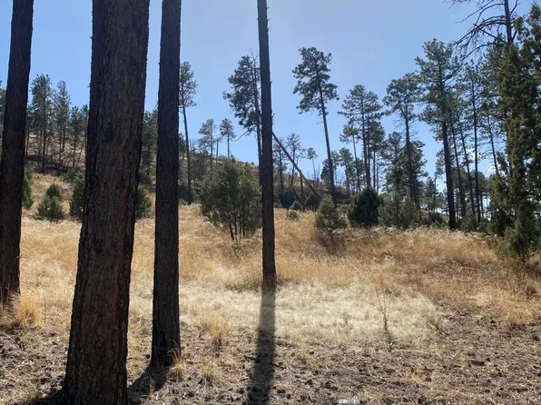 81 Stable Ct, Alto, NM 88312