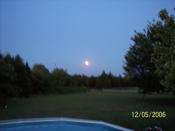 House Pics-back yard