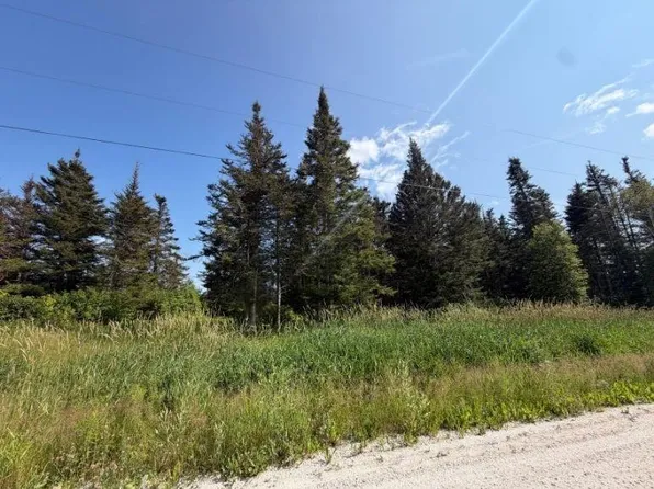 5 Meadow Brook Rd Ext, Reidville, NL A8A0B4