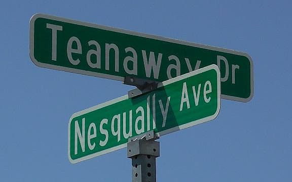 4th image of 1635 W Nesqually Ave