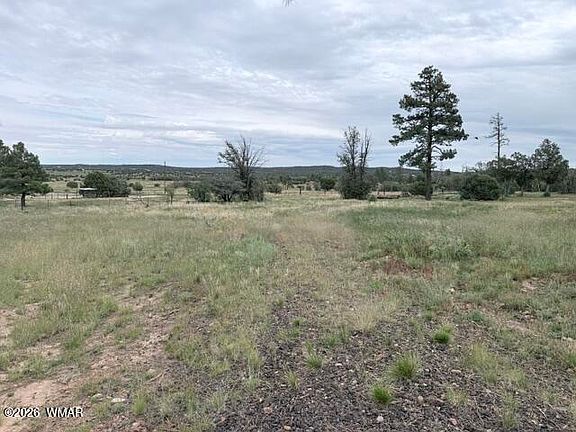 4th image of 1807 Rocky Ln