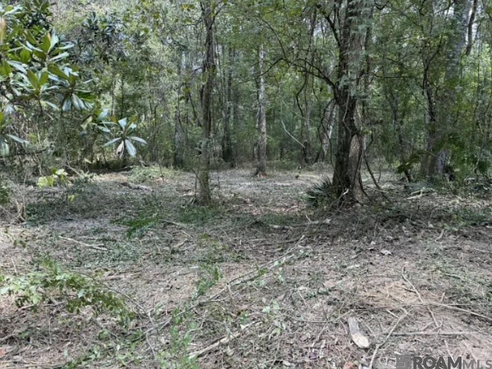 2nd image of 33550 Stella Ln