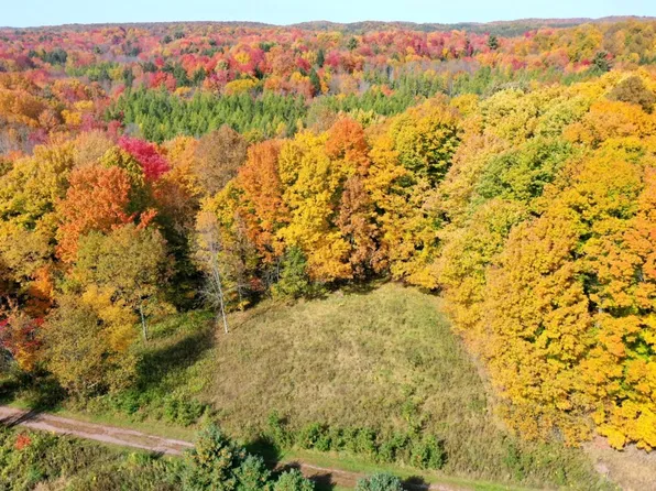 +/- 5.39 Acres SAWYER AVENUE, Withee, WI 54498