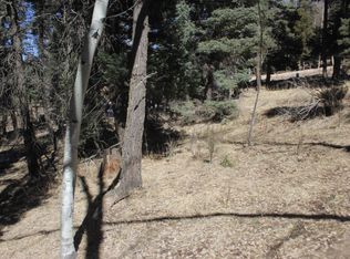 265 El Camino Real, Angel Fire, NM 87710