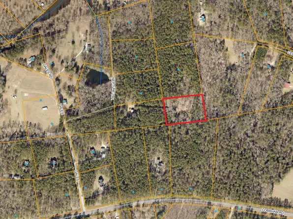 0 Gales Road, Appling, GA 30802