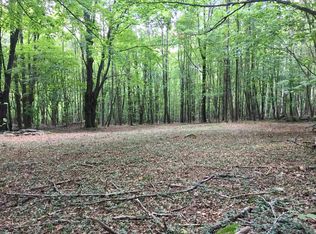Johnson Hollow Rd, Roxbury, NY 12474