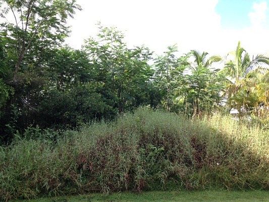 2nd image of 1st Ave Lot 1527