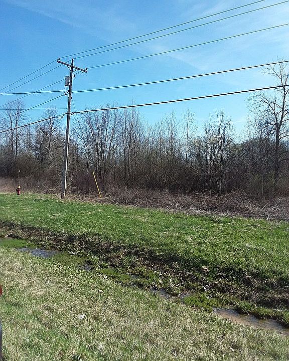 2nd image of Vacant Lot Townline Rd