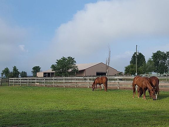 More barn view from pasture