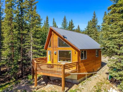 51 Placer Dr, Alma, CO, 80440