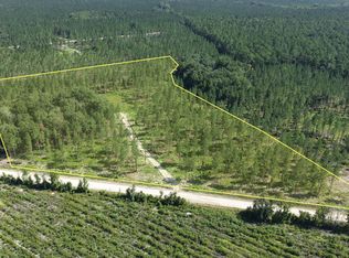 2950 Buck Swamp Rd, Brunswick, GA 31523