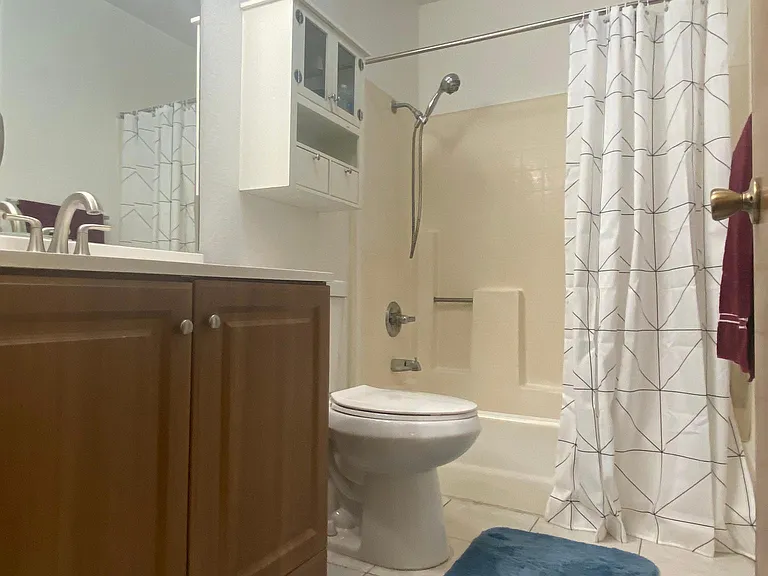 Hall bathroom