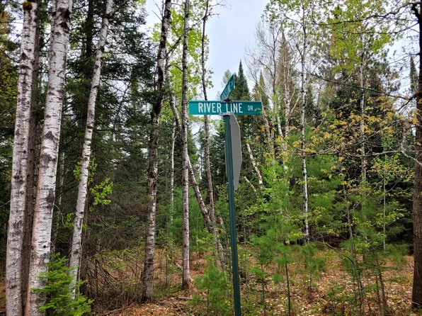 Riverline Dr, Wolverine, MI 49799
