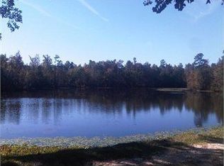 349 Iricks Pond Rd, Orangeburg, SC 29115