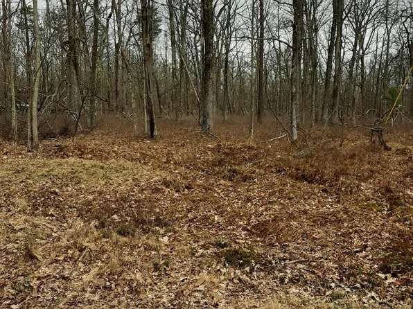 Mountain Top Rd, Lackawaxen, PA 18435