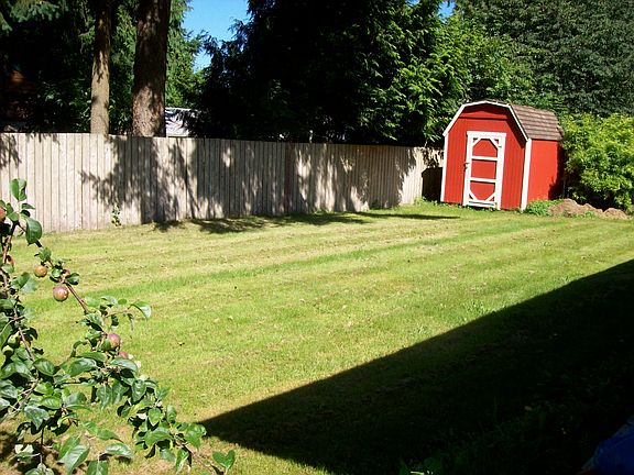 Back yard & storage shed