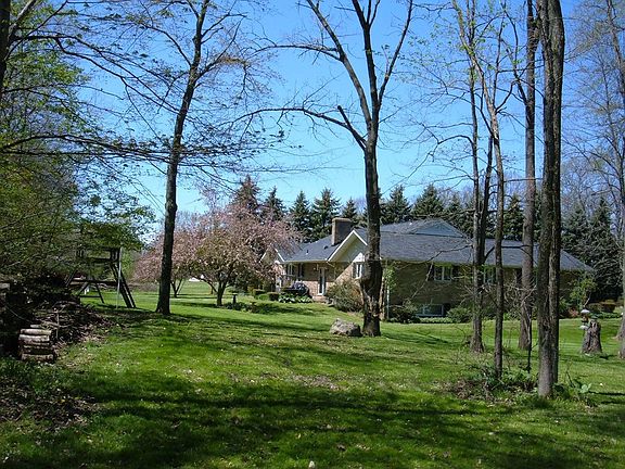 Back Yard and Hollow