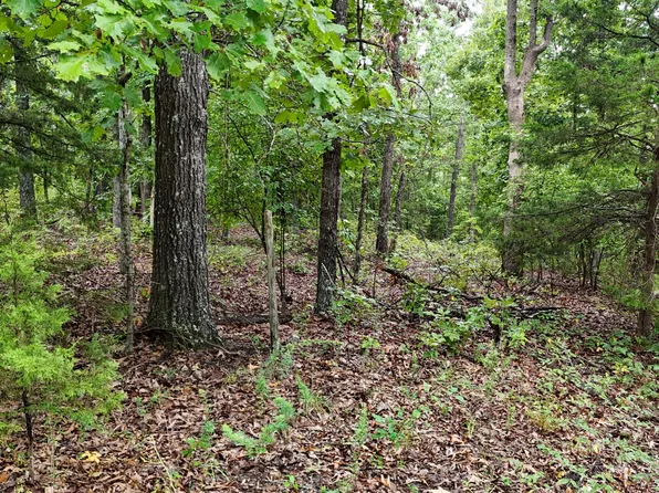0000 County Road Jj-416, Ava, MO 65608