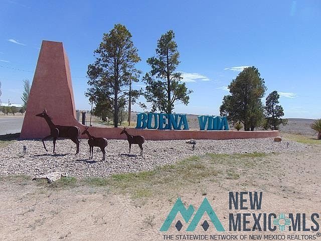 1st image of Buena Vida