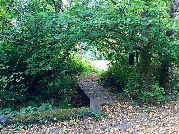 Bridge to field 
