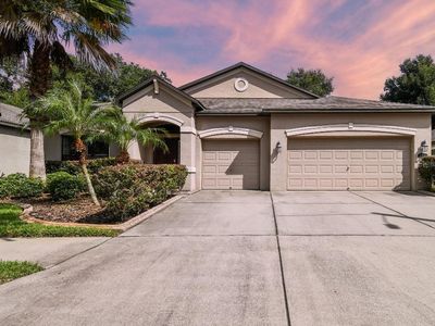 201 Dakota Hill Dr, Seffner, FL, 33584