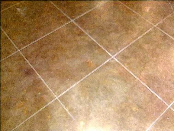 floors are scored stained cement