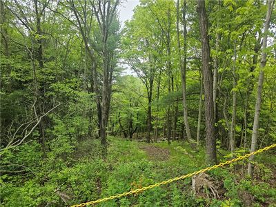 2049 State Route 245 #31, Naples, NY, 14512