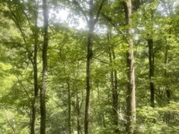 0 Meadow View Rd Lot 3, Sevierville, TN 37862