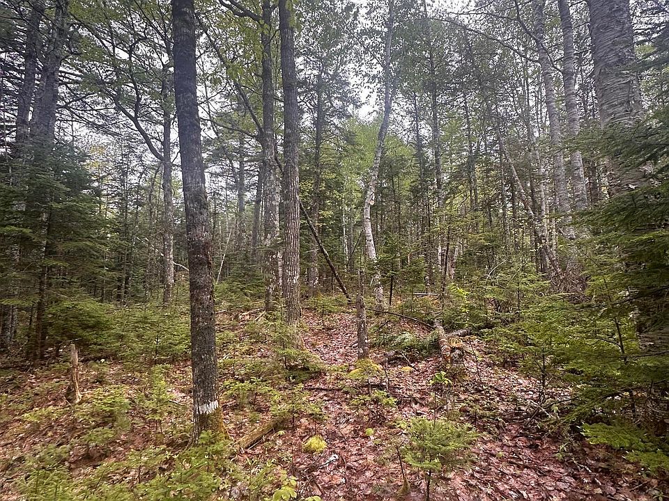 1st image of Moose Pit Rd Lot 22
