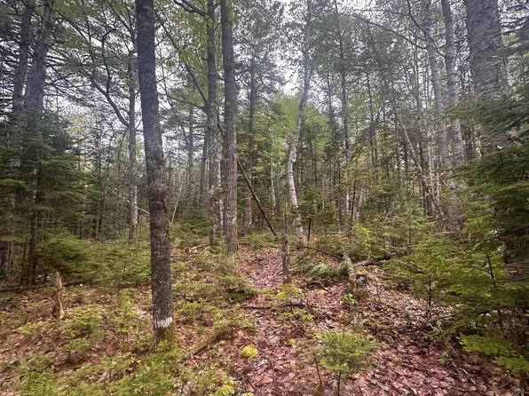 Moose Pit Rd Lot 22, Queens, NS B0T 1B0