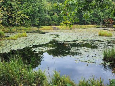 0 Old Highway D, Holcombe, WI, 54745