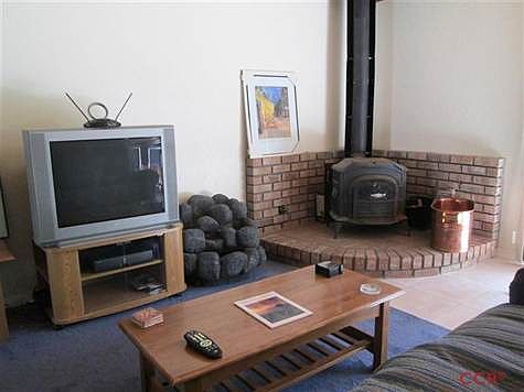 Cozy Den with free standing fire place