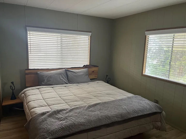 Bristlecone Dr — Photo 10