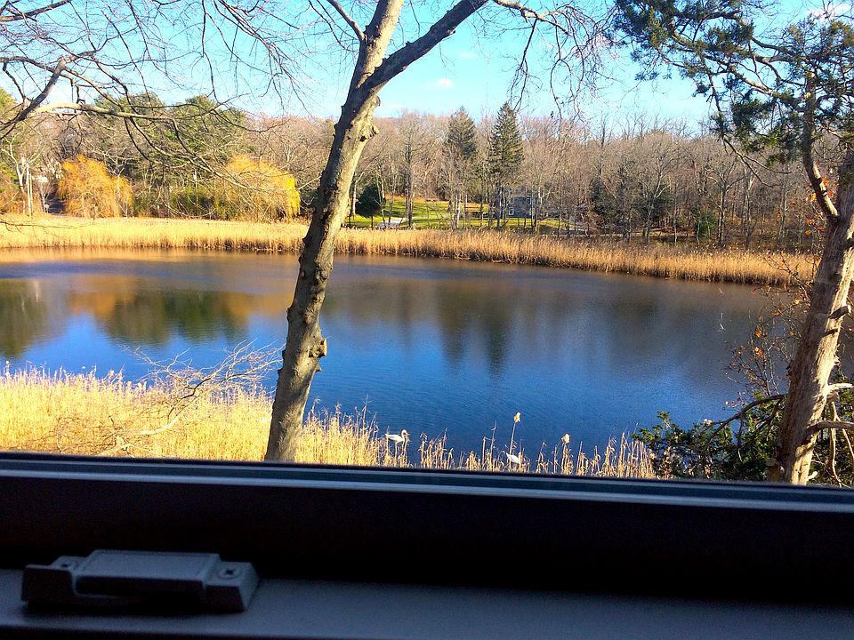 lake view from kitchen