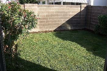 5th image of 7216 Sunsweet Ln