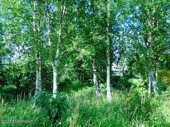 LOT 2 Greece Dr, Anchorage, AK 99516
