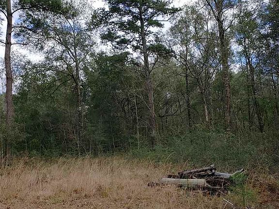 5th image of 709 Crawfordville Hwy