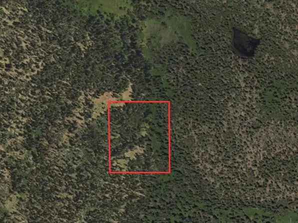 Forrest Rd #41, Soda Springs, CA 95728