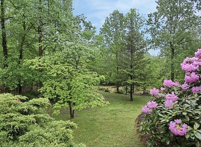 Mature Landscaping