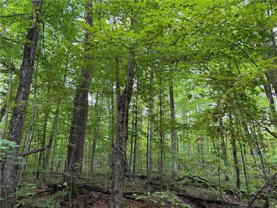9598 East County Road L, Lake Nebagamon, WI, 54849