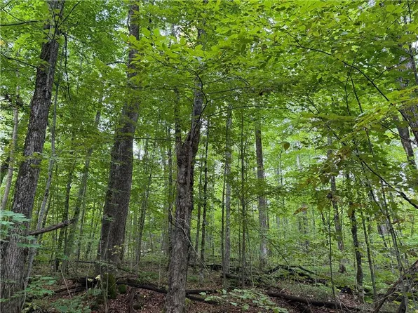 9598 East County Road L, Lake Nebagamon, WI 54849