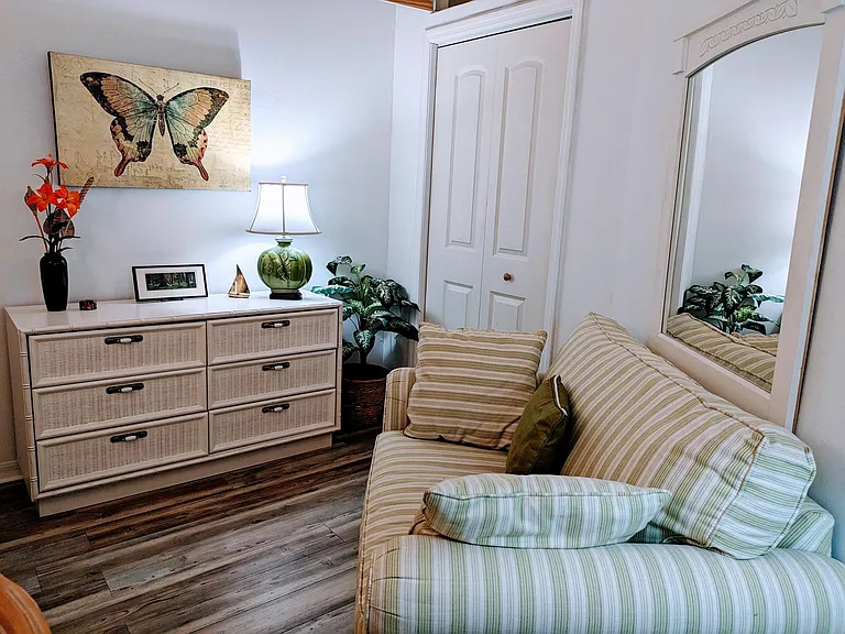 Den with closet, sleeper sofa and office supplies