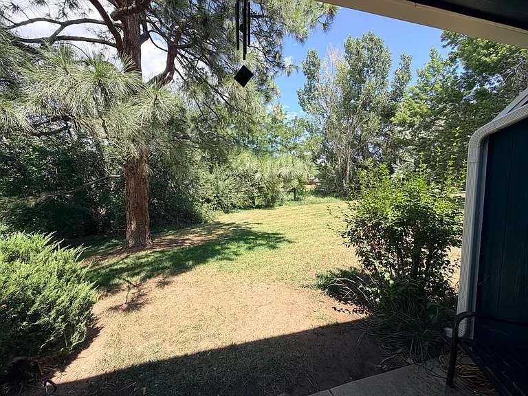View from back door.