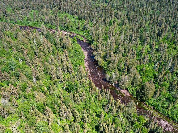 3rd image of 546 Cascade Bluffs