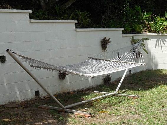 Relax in the hammock